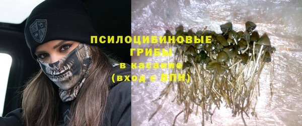 прущий лед Алексин