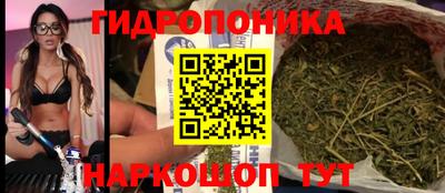 прущая мука Гусев