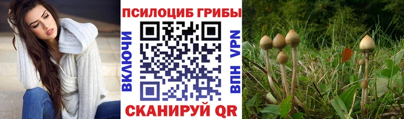 Псилоцибиновые грибы ЛСД  Майкоп 
