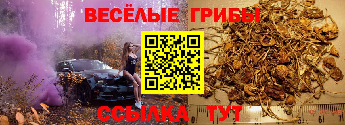 Майкоп  Псилоцибиновые грибы Magic Shrooms  Галлюциногенные грибы MAGIC MUSHROOMS  Вход с VPN 